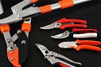 �Ա���Ӫ��ѵ�γ�,�����Ƽ���ֱͨ��������