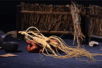 �Ա�ֱ����ô�ƹ�����,�Ա�ֱ�����ߴ��������