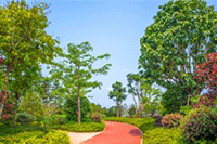 �Ա�����ֱ��רҵ������ֲ�