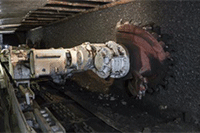 ��è������Ա�������ʲô����,����������Щ����