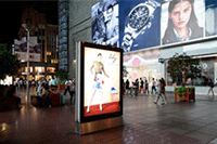 ���Ա�����è���굽����ʲô����,�����������Щ����