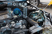 ��è�������͵��̵�1���̼ҿ���Ҫ����ʲô