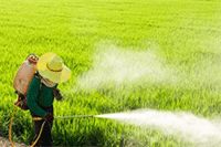 ��è���ʵ��̾��忪ͨ��������Щ,��Ҫ��ǰ׼��ʲô����