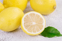 ����è������Ҫ����Ǯ,��Ҫ׼�������ʽ�