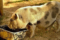 ���Ա�רҵɾ�в������˸���������ô�ĵ�