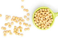 ��ô����ֱͨ��Ȩ��