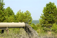 �Ա����걣֤�����,�Ա���ҵ���C�걣֤��һ����