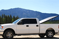 �Ա���Ʒ��Ͷ����������