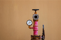 ��Ϊһ���Ա���è����,�����õ�����ı�ǩ����