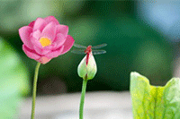 ֱͨ����ѵ֮����ת���ʿ����ڶ���,��ô����