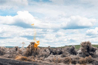 �����ݺ������ı������ʲô,�ĸ�����