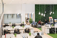 �Ա�����Ͷ�ߵ�ͼ������������Щ,��ô��ͼ