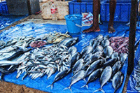 ������ѵ�ƹ���������Щ,�����ƹ㷽ʽ����