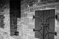 ��è����Ӫ:���������������չ��������������