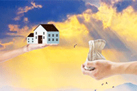 ��è����Ӫ:�������������ձ�����������Щ����