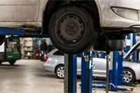 �Ա���ҺŽ�Ȩ��ʲô��˼,����Ϊ�λήȨ