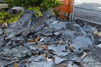 ֱͨ����ѵ�γ�,��ӪӰ��ֱͨ��Ȩ�ص�5������