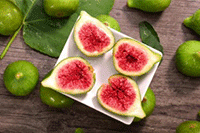 ֱͨ����ѵ��ô��,���ڿ�ֱͨ���ĳ������ʼ����