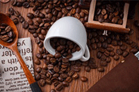 ����ֱ�����Ա�ֱ���ĸ���������