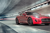 ��è��פ:ΪʲôҪ��פ��è,��פ��è��ʲô����