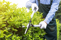 �����йܺ���,ѡ�����Ӫ��˾�ĺô�