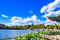 �Ա�ֱ����ѵ:�����������Ա�ֱ����ͨ