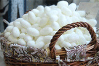 ���̸ɻ����������ȷ�����������