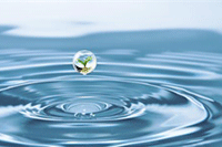 ��������ǧ������