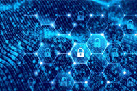 ��è������ʲô�� ��è���ֹ���