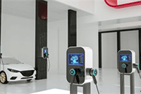 ��è���������Ŀ��Ʒ�����淶