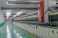 ʲô�Ƕ������ţ�