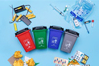 ����С�����������