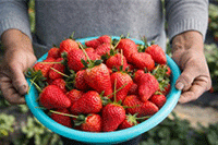 �����פ�����鱦��ʯ���� �����鱦��ʯ���������פ