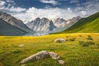 ���������ŵ�����İ�,���ڶ�һ�θ�����۵ľ���