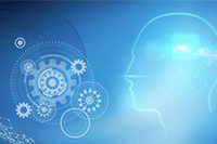 ���ֵ���2021�껹������,��������Ȩ�غŵİ˴�λ������ʲô