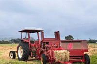 ����ֱ������Ӫ������,����С�ױؿ�