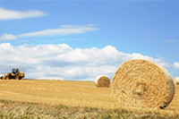 ���ֹ��Ͷ��ָ��: ���ֹ��Ͷ�����Ƽ�չ����ʽ