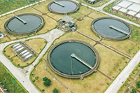 ������������ĸ�� ��������Ψ���İ�