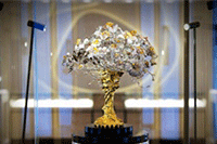 ֱͨ����ѵ�γ�,ֱͨ����ͼ��Ҫ��ã���ú��ʣ�