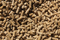 ƴ���������������Щ����ô������