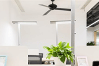 �Ա�ֱͨ����β���,ֱͨ����Ⱥ���ü�������Щ��