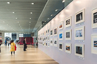 ��������Ӫ:�������ķ��˸�����