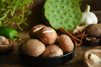 ��ο������Ʒ����,����Щע������