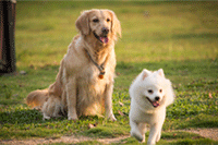 �������껹��׬Ǯ�𣨷������������ӯ��ģʽ�;�Ӫ���裩