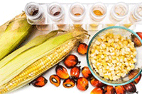 �����İ�:ææµµ��һ��������İ�