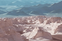 �Ա���Ӫ�п����õ���27�������Ż�����