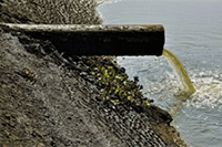 ƴ����������Ч��������Щ�ƹ㷽ʽ��