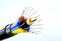 ��Ů���ǡ�����ʦ����ô��Ϊ�����춥������?