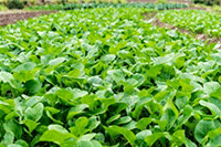 ֱͨ���������޸ı�����?����޸�?