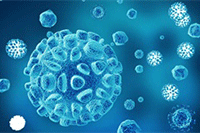 ��������ף�����˵�Ψ���İ� �����ܻ�Ľ��ף����